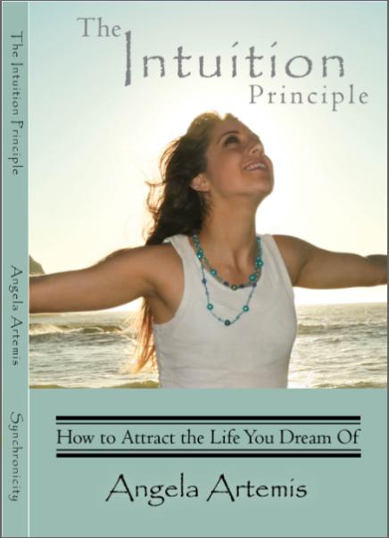 Angela Artemis’ The Intuition Principle